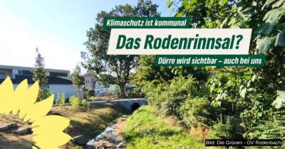 Das Rodenrinnsal? – Dürre wird sichtbar, auch bei uns Rodenbach mit sehr niedrigem Wasserstand nach der Renaturierung. Das Bild zeigt die Auswirkungen der anhaltenden Trockenheit und verweist auf die Bedeutung von Klimaschutz und naturnahen Gewässern.